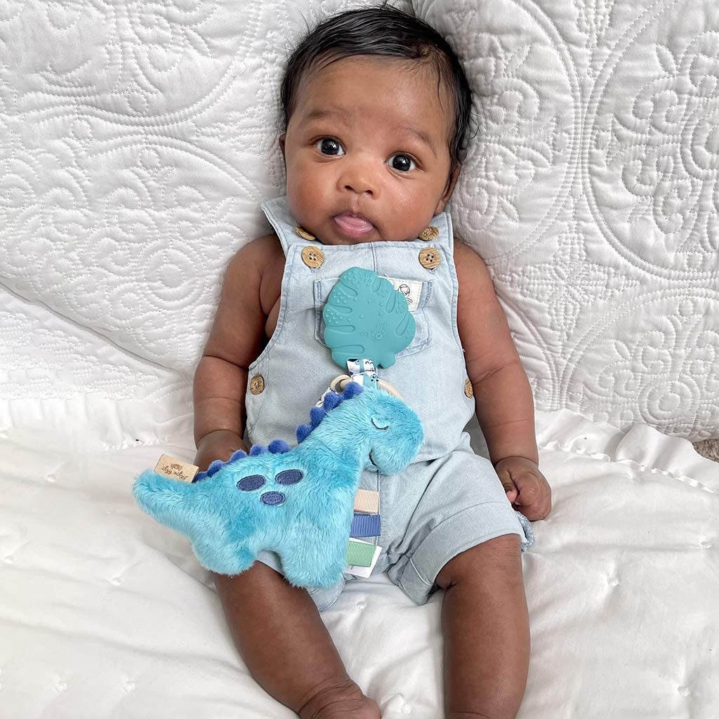 Infant Toy & Teether - Itzy Pal Baby Teething Toy Includes Lovey, Crinkle Sound, Textured Ribbons & Silicone Teether for Newborn (Dinosaur)
